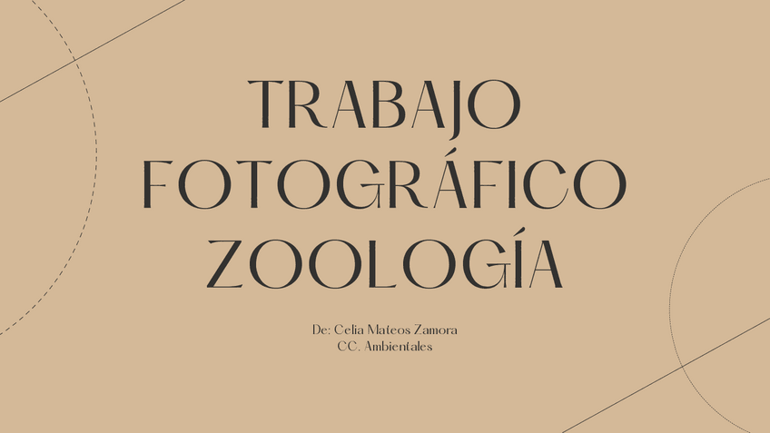 Miniatura del documento Trabajo-Fotografico-zoo.pdf