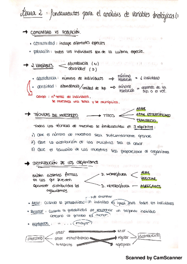 Miniatura del documento TEMA 2.pdf