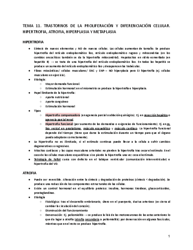 Miniatura del documento TEMA-11.pdf