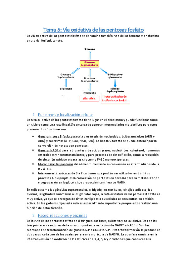 Miniatura del documento Tema 5.pdf