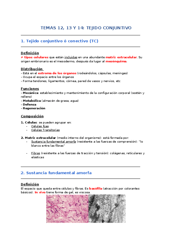Miniatura del documento BH-Temas-12-13-y-14-TC.docx