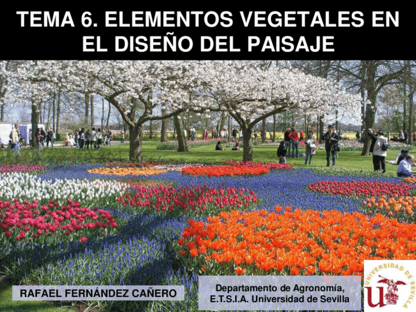 Miniatura del documento presentacion-Tema-VI-ELEMENTOS-VEGETALES.pdf