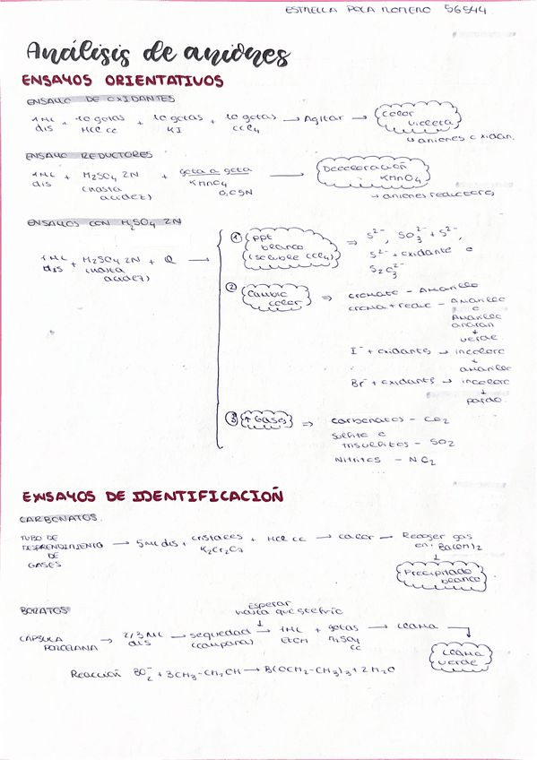 Miniatura del documento ResumenAnalisisAniones.pdf