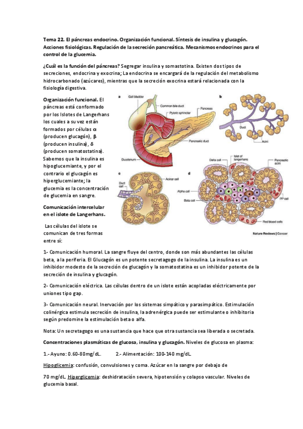 Miniatura del documento Tema 22.pdf