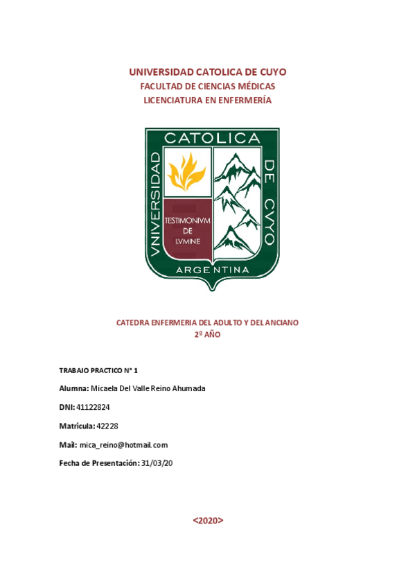 Miniatura del documento TP-No1-Enfermeria-Del-Adulto-y-Del-Anciano.pdf