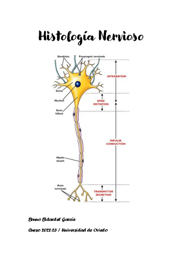Miniatura del documento Apuntes-Histologia-Nervioso-2022-23.pdf