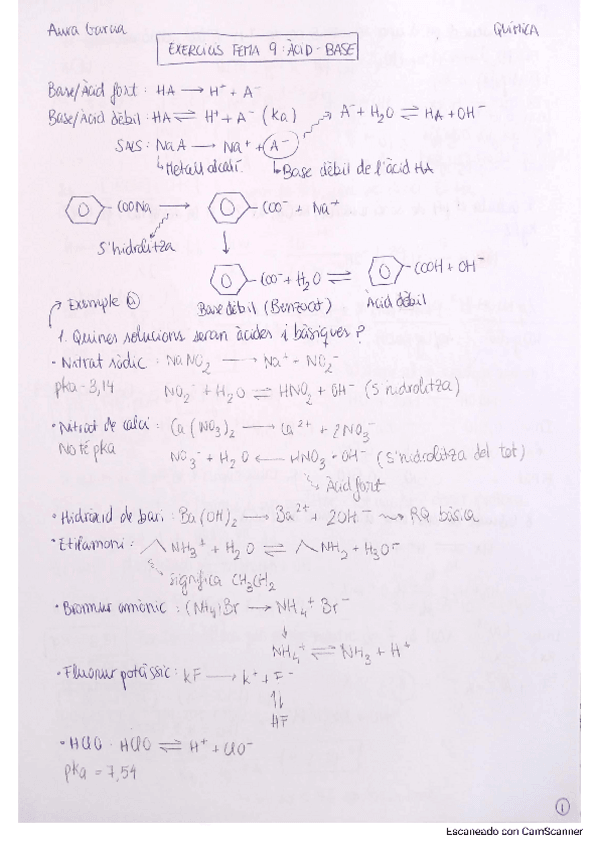 Miniatura del documento Exercicis-Acid-Base.pdf