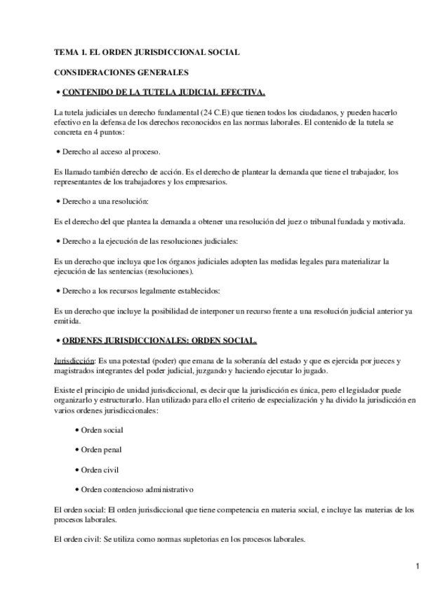 Miniatura del documento Orden-jurisdiccional-social.pdf