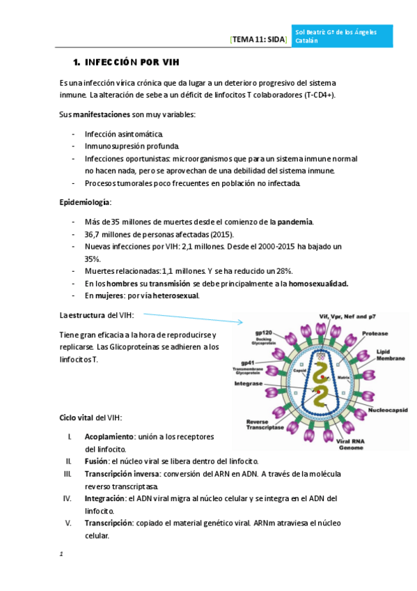Miniatura del documento TEMA 11 SIDA.pdf