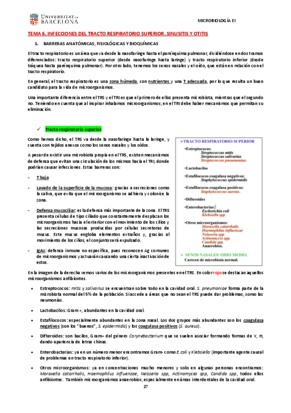 Miniatura del documento TEMA 6-13.pdf