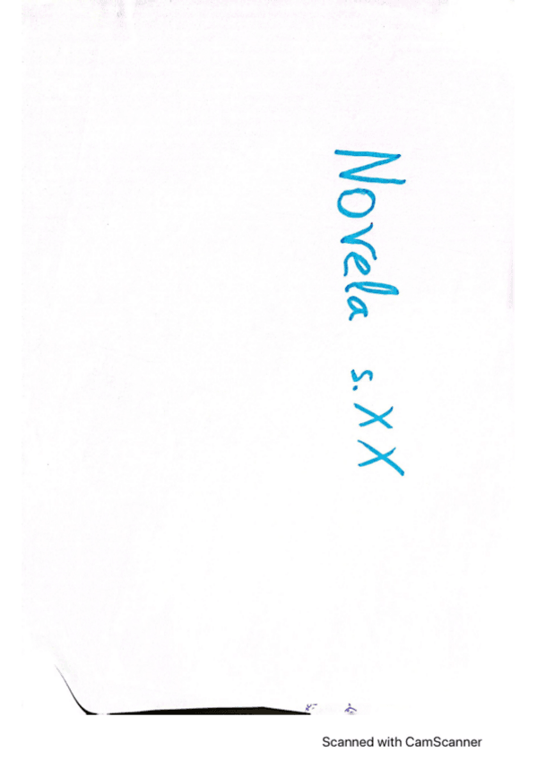 Miniatura del documento novela-sigloXX.pdf