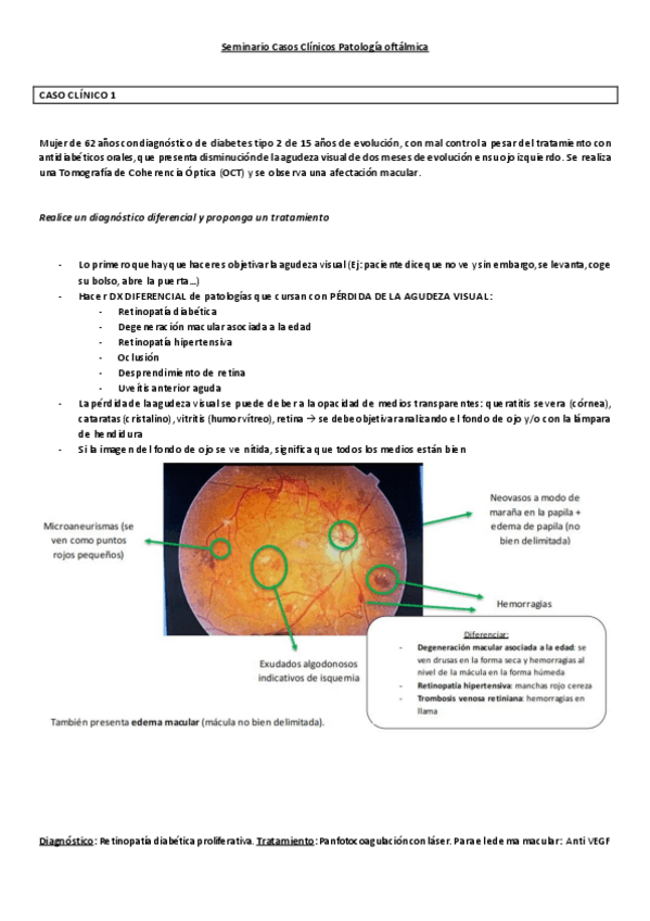 Miniatura del documento Ultimo-seminario-Casos-Clinicos-Agudeza-Visual-y-Ojo-Rojo.pdf