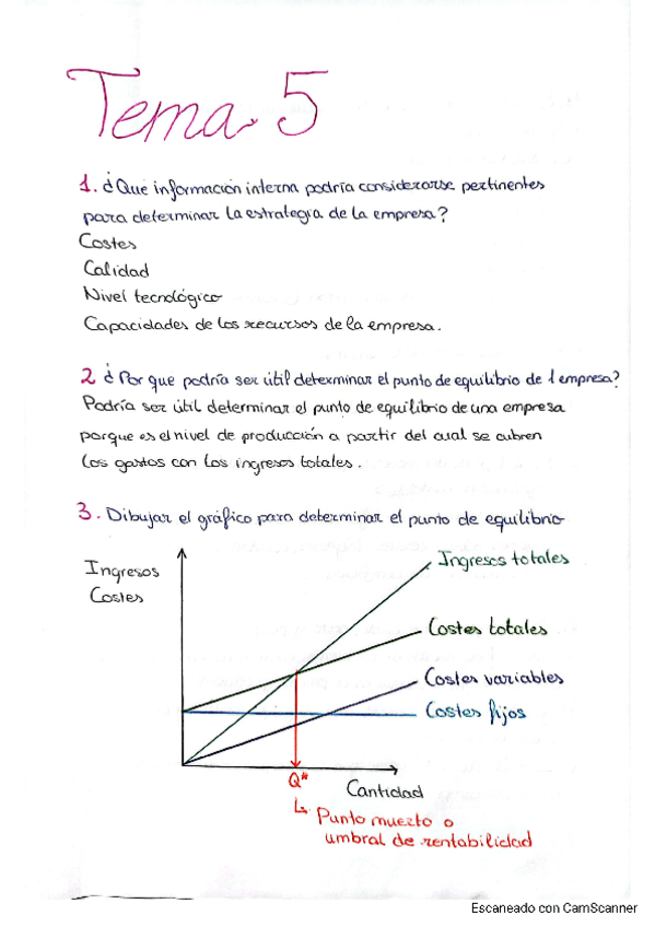 Miniatura del documento Empresa-Tema-5-Corregido.pdf
