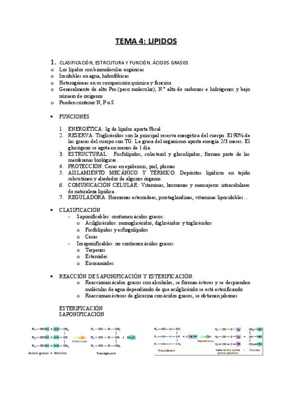 Miniatura del documento TEMA-4-LIPIDOS.pdf