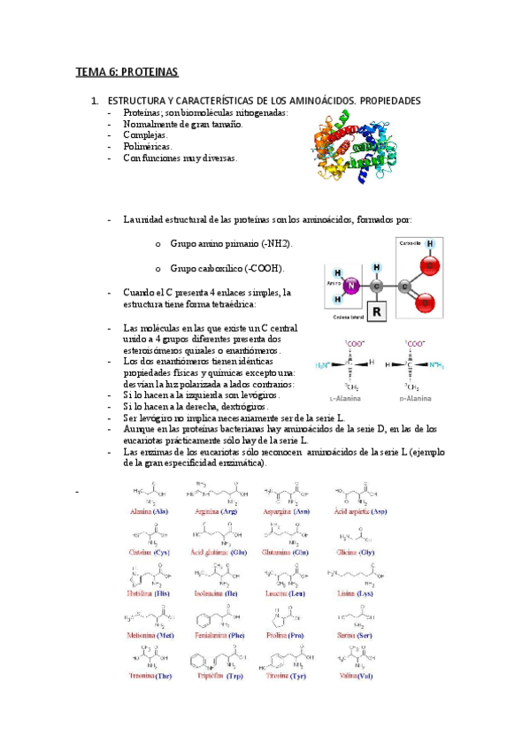 Miniatura del documento TEMA-6-PROTEINAS.pdf
