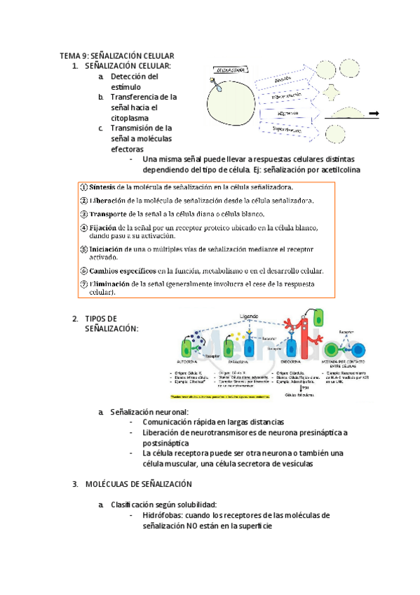 Miniatura del documento TEMA-9.pdf