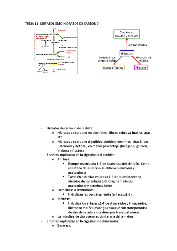 Miniatura del documento TEMA-11.pdf