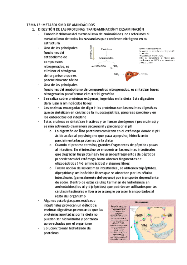 Miniatura del documento TEMA-13.pdf