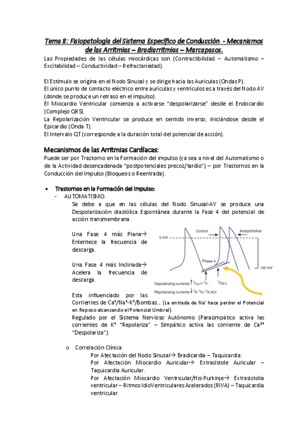 Miniatura del documento Arritmias-apuntes-y-test.pdf