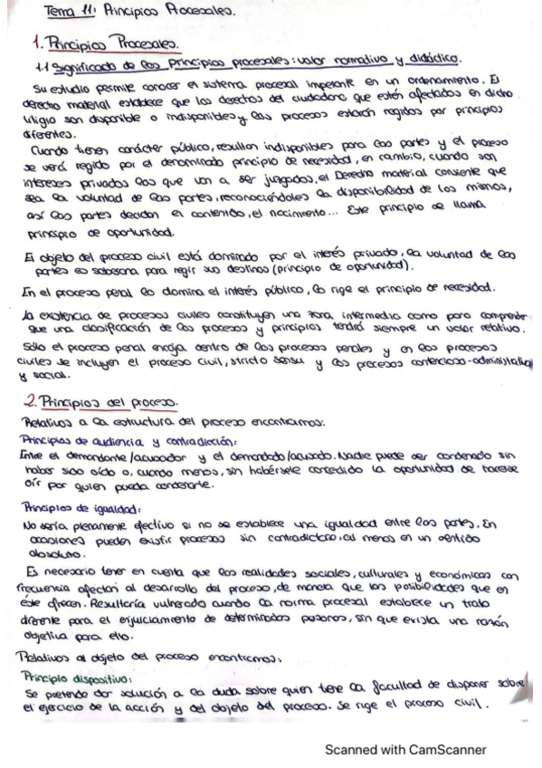 Miniatura del documento tema-11-procesal algeciras.pdf