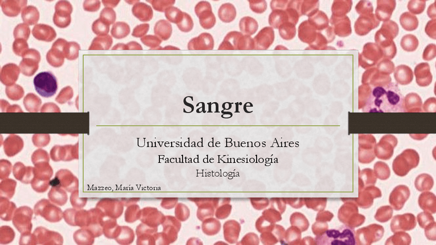 Miniatura del documento TP-7-sangre-y-med-osea-kinesio.pdf