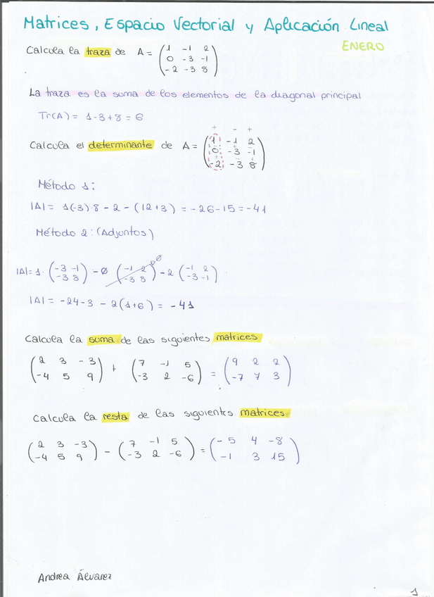 Miniatura del documento EJERCICIOS MATRICES- ESPACIO VECTORIAL Y APLICACIÓN LINEAL.pdf