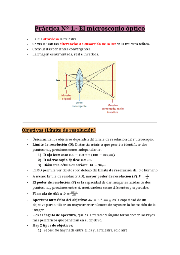 Miniatura del documento Resumen-practicas-CitologiaHistologia.pdf