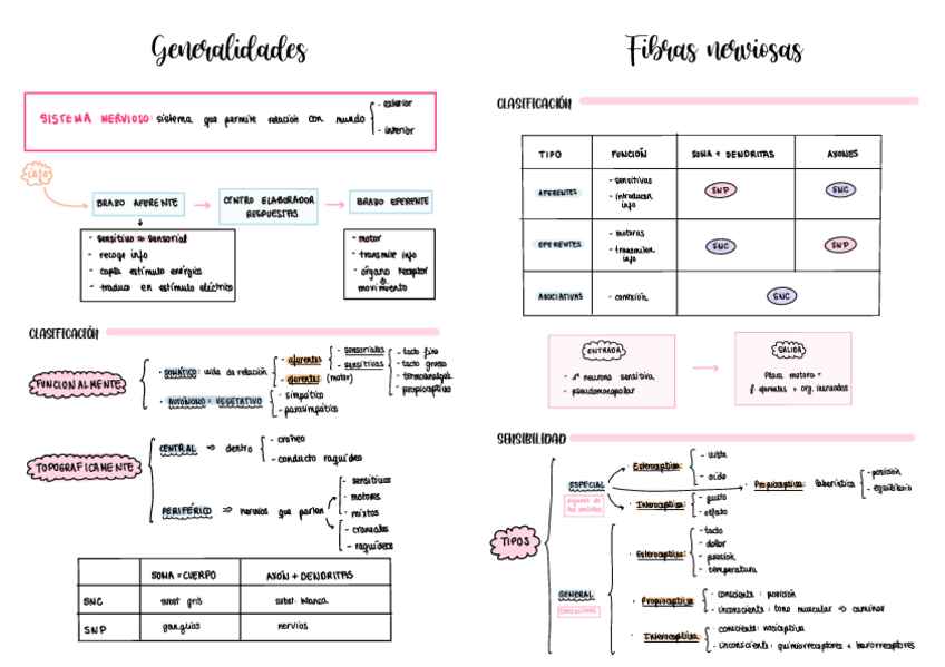 Miniatura del documento Esquemas-neuro-2022-2023.pdf