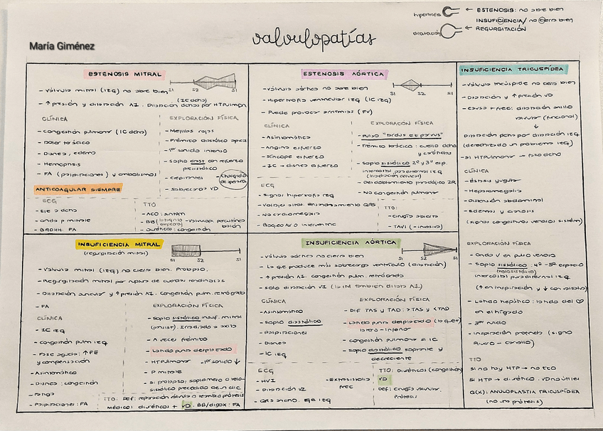 Miniatura del documento tabla-resumen-valvulopatias-comparacion.pdf