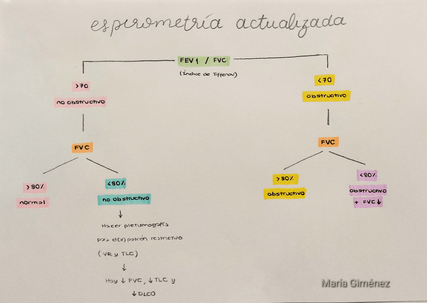 Miniatura del documento esquema-espirometria-con-guia-actual.pdf