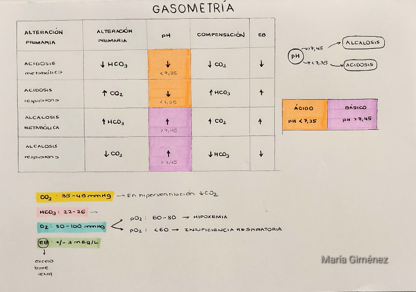 Miniatura del documento resumen-gasometrias.pdf