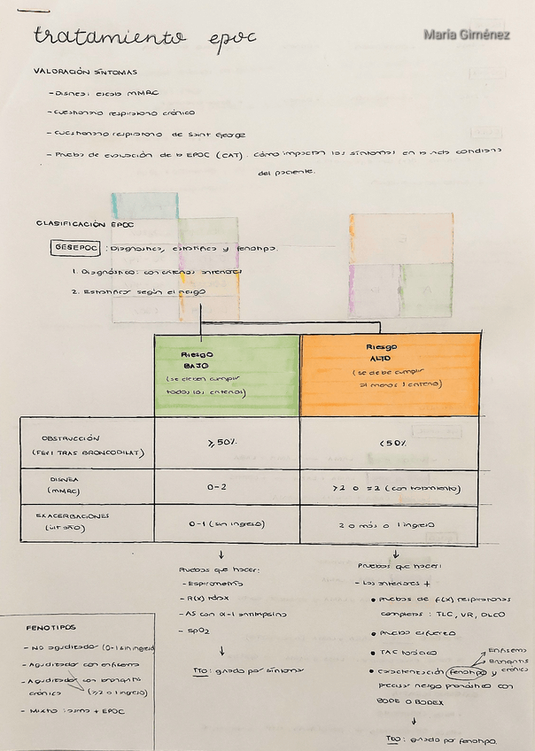 Miniatura del documento tratamiento-EPOC-resumen.pdf