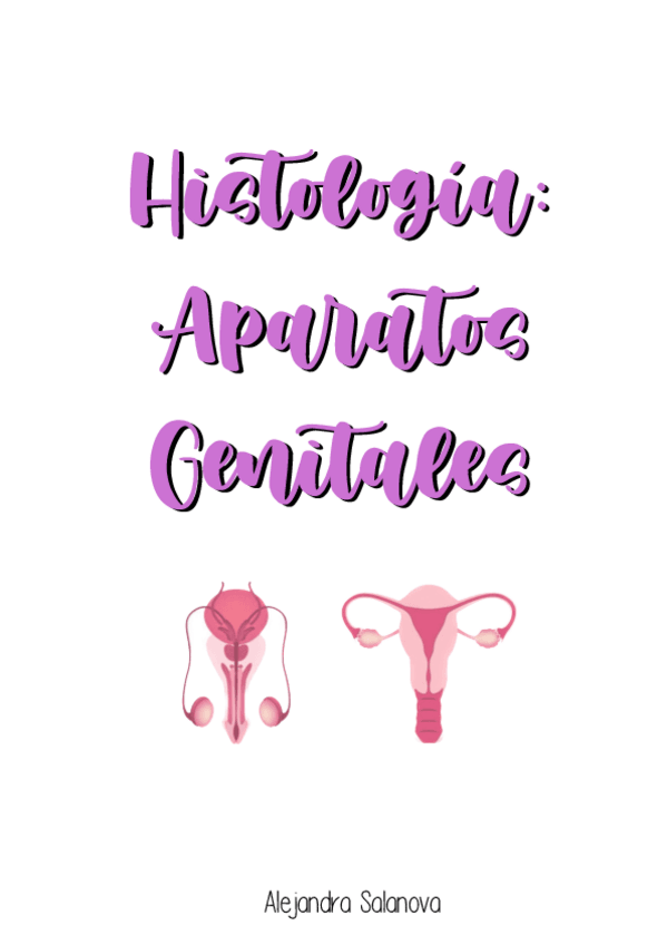 Miniatura del documento Apuntes-Histo-Genitales.pdf