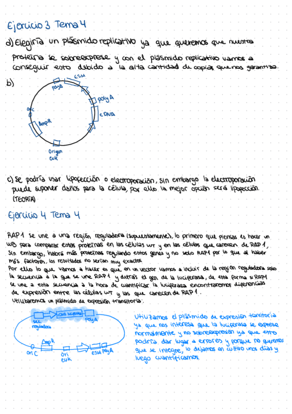 Miniatura del documento Resolucion-Ejercicios-4-6-e-integrados.pdf