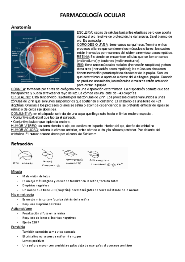 Miniatura del documento OCULAR.pdf