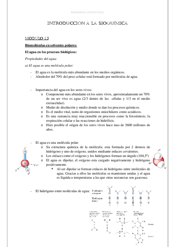 Miniatura del documento INTRODUCCION-A-LA-BIOQUIMICA--modulos-1.3-1.4.pdf