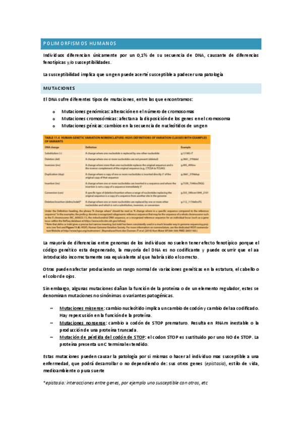 Miniatura del documento Tema-5-y-6-POLIMORFISMOS-HUMANOS.pdf