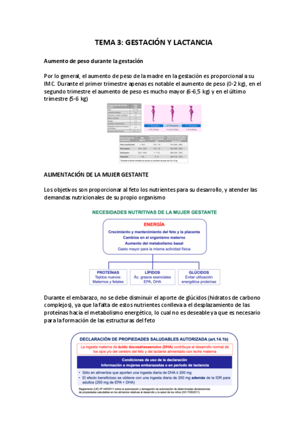 Miniatura del documento TEMA-3.pdf