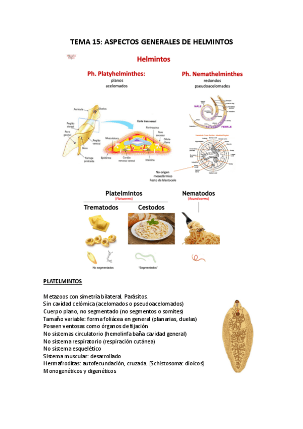 Miniatura del documento TEMA-15.pdf