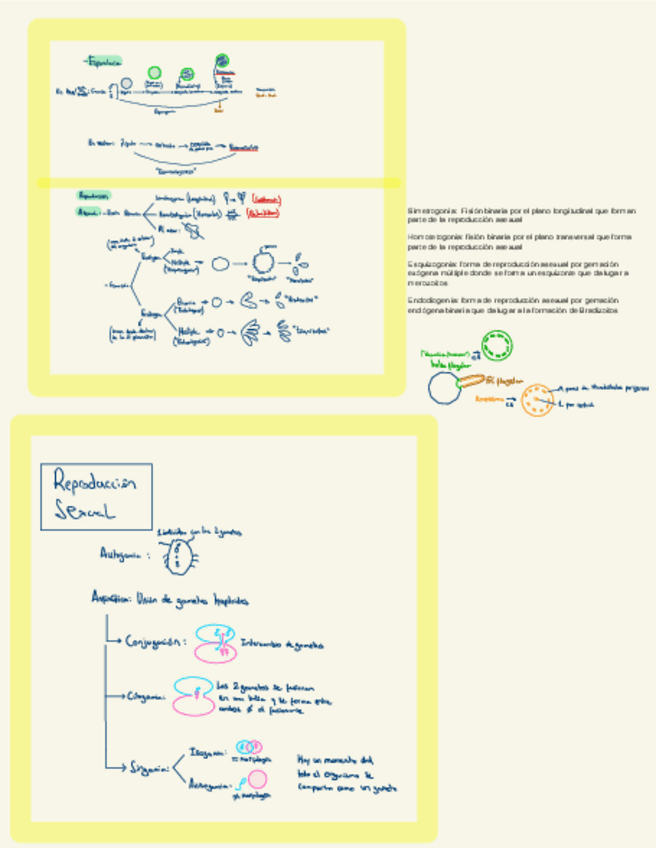 Miniatura del documento Todos-Los-Parasitos de todos los temas.pdf
