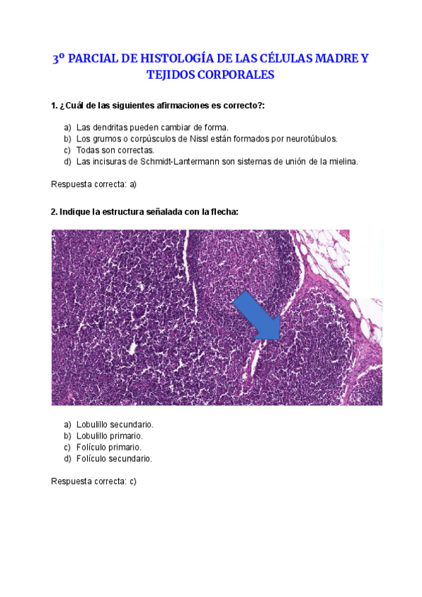 Miniatura del documento TERCER-PARCIAL-TODAS LAS RESPUESTAS.pdf