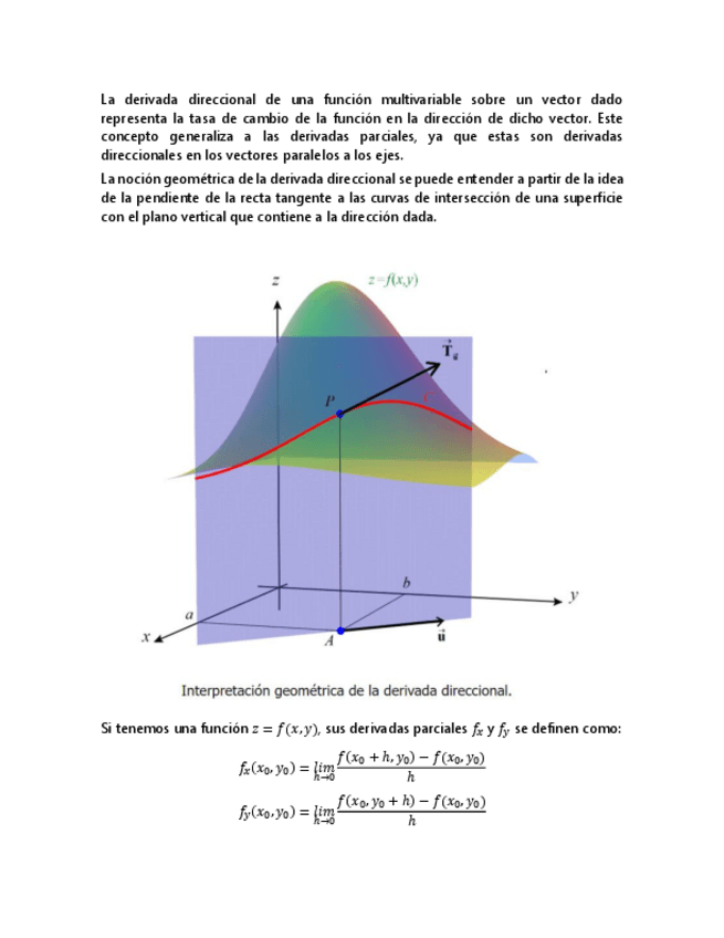 Miniatura del documento Interpretacion-derivada-direccional.pdf
