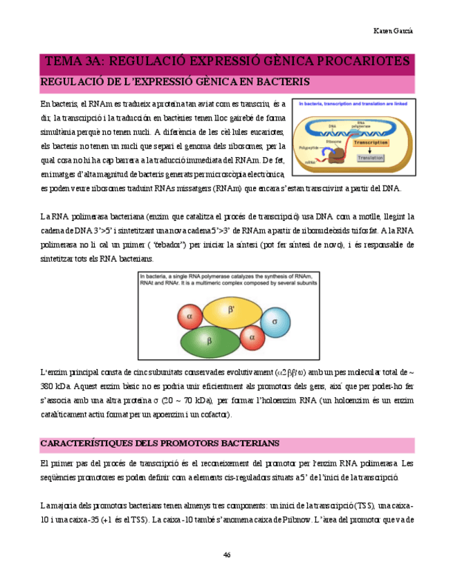 Miniatura del documento tema-3-genetica.pdf