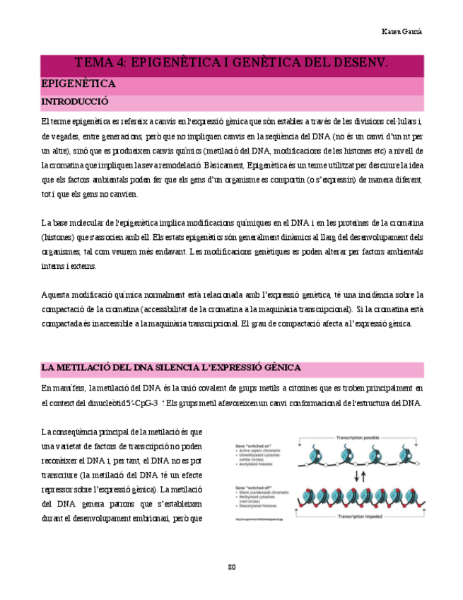 Miniatura del documento tema-4-genetica-epi-fet.pdf