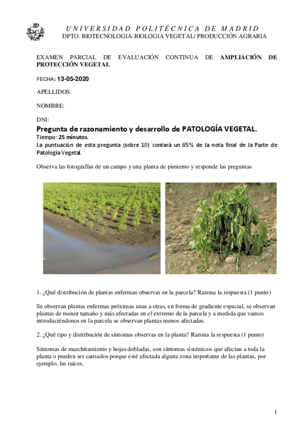 Miniatura del documento APV-primer-parcial-on-line-PATOLOGIA-V-2020.pdf