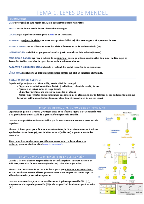 Miniatura del documento Teoría 1º Parcial (T.1-T.6).pdf