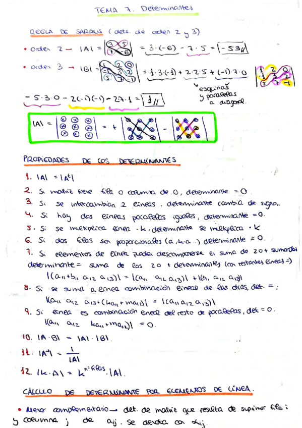 Miniatura del documento TEMA-7.-Determinantes.pdf