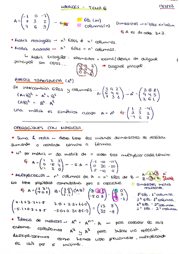 Miniatura del documento TEMA-6.-Matrices.pdf
