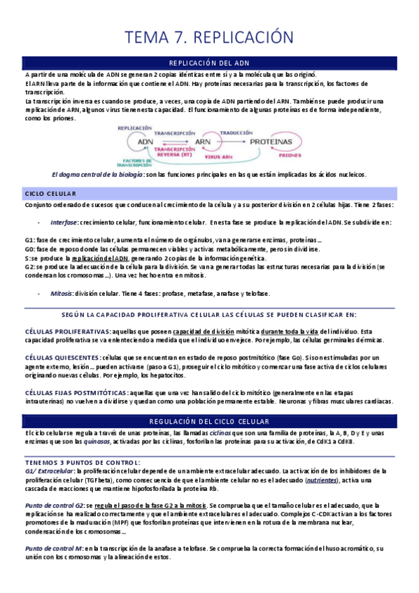 Miniatura del documento Teoría 2º Parcial (T.7-T.11).pdf