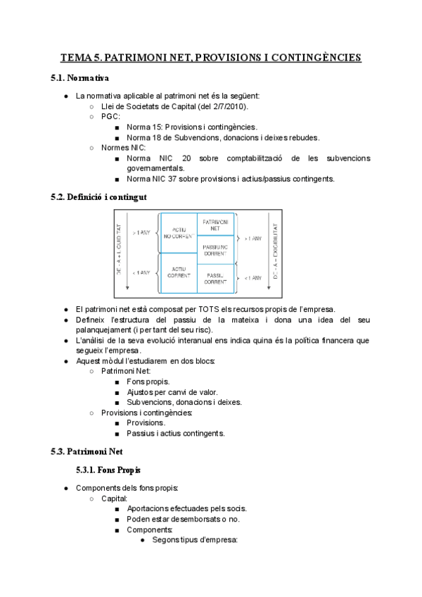 Miniatura del documento TEMA-5.-PATRIMONI-NET-PROVISIONS-I-CONTINGENCIES.pdf